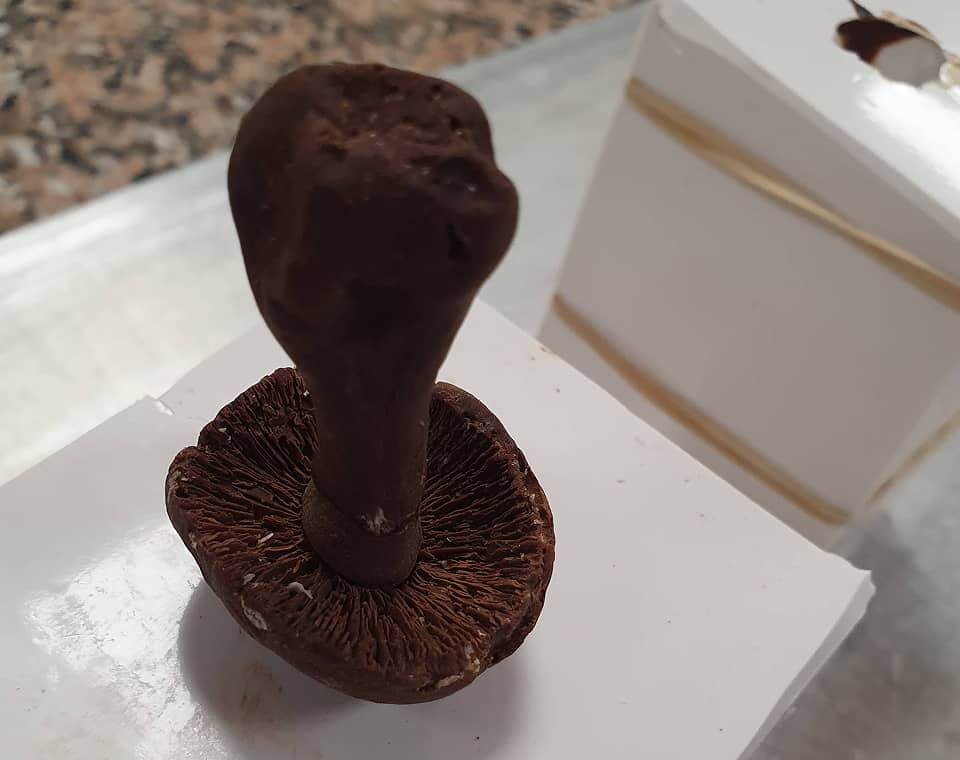 Chocolat fondu